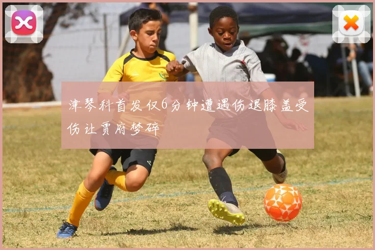 津琴科首发仅6分钟遭遇伤退膝盖受伤让贾府梦碎
