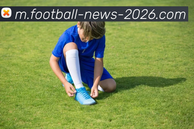 fifa买球网平台生态图